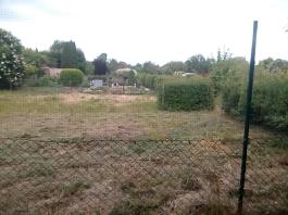 fruhling2025_Garten_IMG_20250518_123923