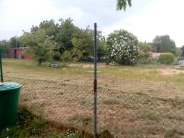 fruhling2025_Garten_IMG_20250518_123931