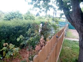 fruhling2025_Garten_IMG_20250518_124017