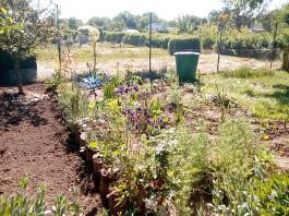 fruhling2025_Garten_IMG_20250521_105106