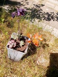 fruhling2025_Garten_IMG_20250521_105211