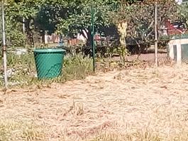 fruhling2025_Garten_IMG_20250521_112452