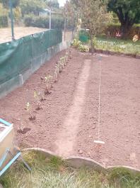 fruhling2025_Garten_IMG_20250521_131331