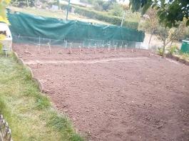 fruhling2025_Garten_IMG_20250521_131359