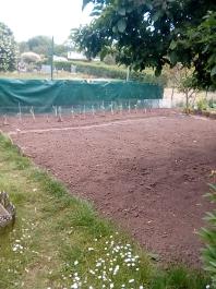 fruhling2025_Garten_IMG_20250521_131411