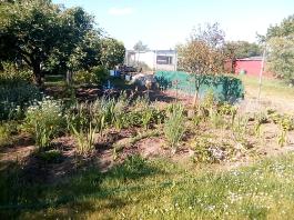 fruhling2025_Garten_IMG_20250530_174027