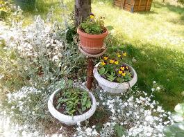 fruhling2025_Garten_IMG_20250531_133140