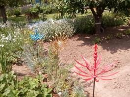 fruhling2025_Garten_IMG_20250531_133330