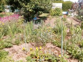 fruhling2025_Garten_IMG_20250617_123406