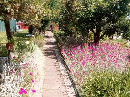 fruhling2025_Garten_IMG_20250617_123433