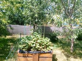 fruhling2025_Garten_IMG_20250617_123447