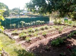 fruhling2025_Garten_IMG_20250617_123728