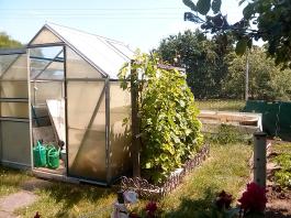 fruhling2025_Garten_IMG_20250617_123736