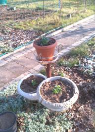 This photo is taken by AllWinner's v3-sdv