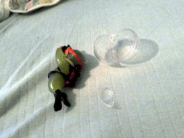 This photo is taken by AllWinner's v3-sdv