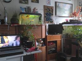This photo is taken by AllWinner's v3-sdv