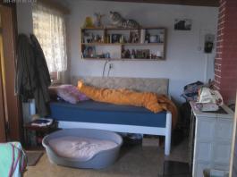 This photo is taken by AllWinner's v3-sdv