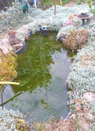 This photo is taken by AllWinner's v3-sdv