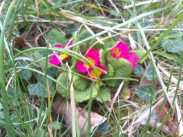 This photo is taken by AllWinner's v3-sdv