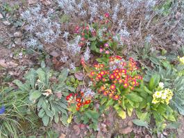 This photo is taken by AllWinner's v3-sdv