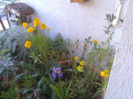This photo is taken by AllWinner's v3-sdv