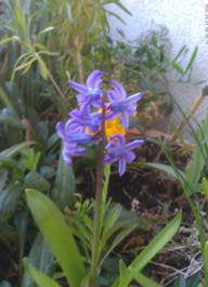 This photo is taken by AllWinner's v3-sdv