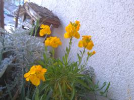 This photo is taken by AllWinner's v3-sdv