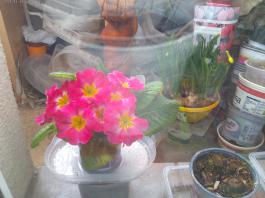 This photo is taken by AllWinner's v3-sdv