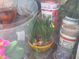 This photo is taken by AllWinner's v3-sdv