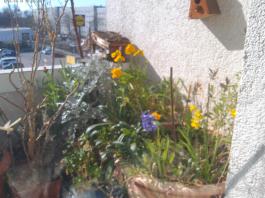 This photo is taken by AllWinner's v3-sdv