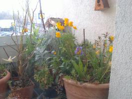 This photo is taken by AllWinner's v3-sdv
