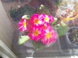 This photo is taken by AllWinner's v3-sdv