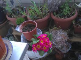This photo is taken by AllWinner's v3-sdv