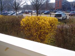 This photo is taken by AllWinner's v3-sdv