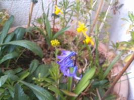 This photo is taken by AllWinner's v3-sdv