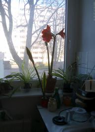 This photo is taken by AllWinner's v3-sdv