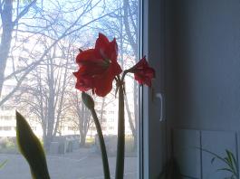 This photo is taken by AllWinner's v3-sdv