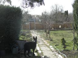 xIMG_2522