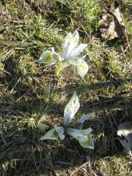 xIMG_2677-