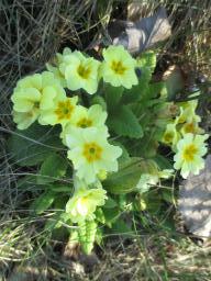 xIMG_3131