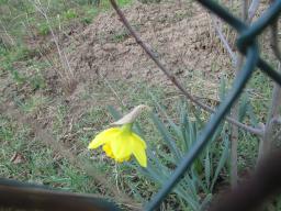 xIMG_3259