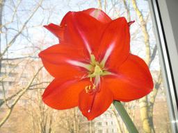 yIMG_3274