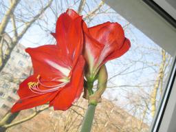 yIMG_3275