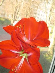 yIMG_3276