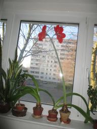 yIMG_3277