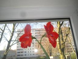 yIMG_3278