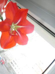 yIMG_3279