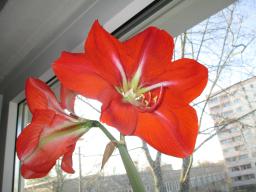 yIMG_3280