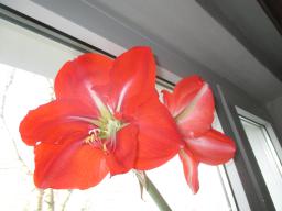 yIMG_3281