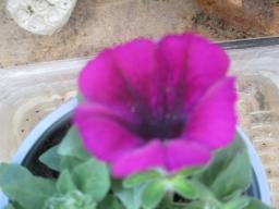 yIMG_3299